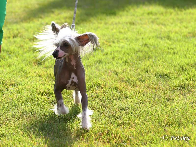 Black-Diva's Monsterman