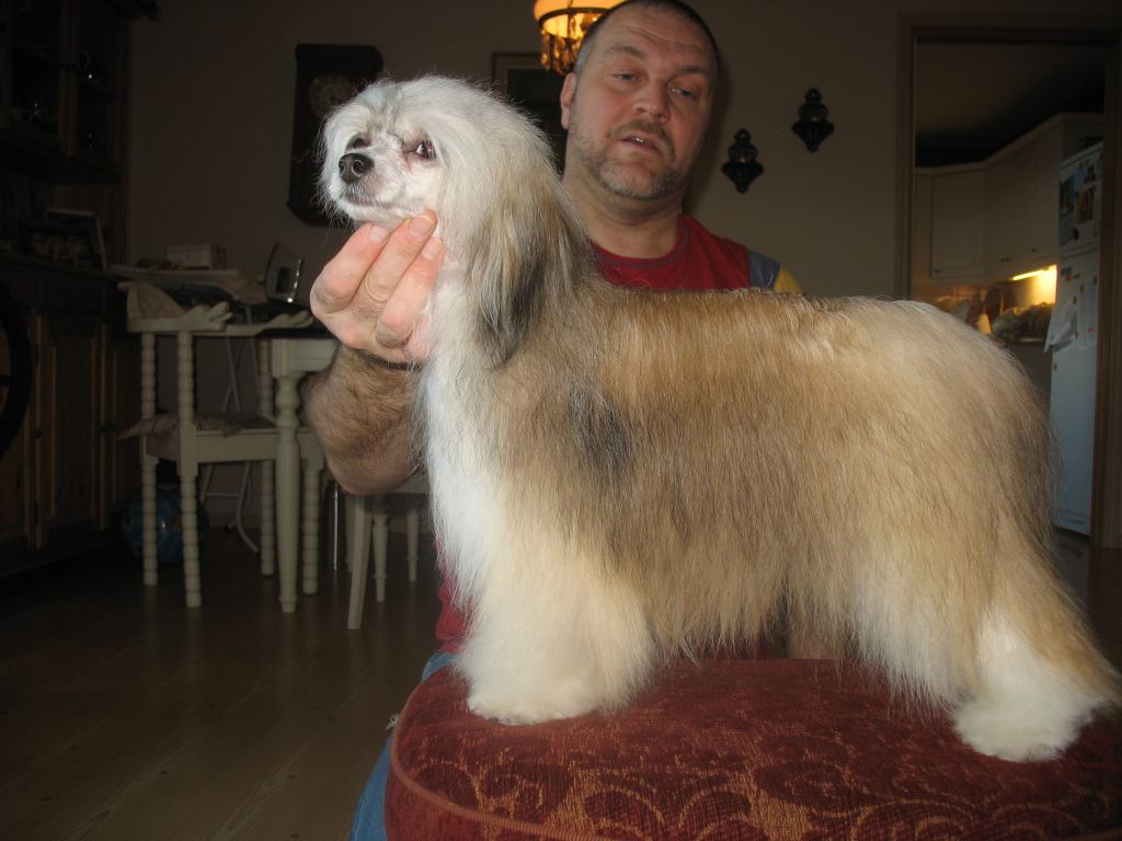 Zaffe's Pandora Minelli