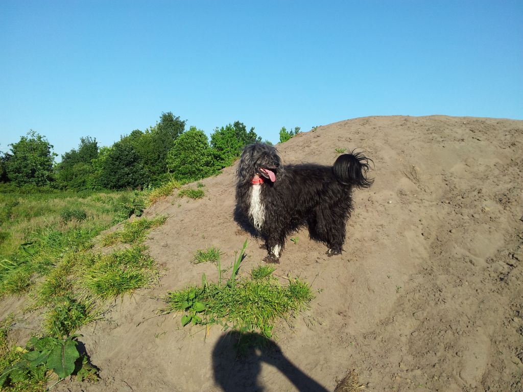 special edition shine'n mister