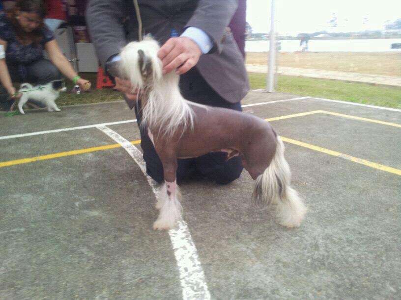 Chco.ven.lib. Aloof Llacue's You Can Leave Your Ha