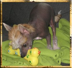 YaGudina's Born to Run