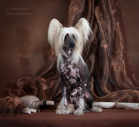 Rus Lorens Zhan Sent Eler Etien