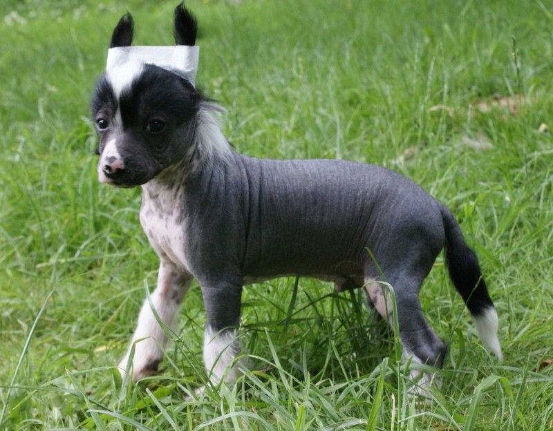 Escobar Du Coeur Des Tenebres