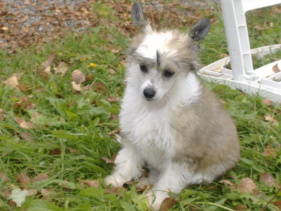 De La Mahafu's LittleWet Jedi