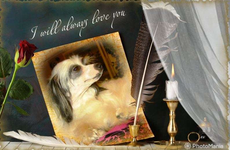 Electra Shinning One Diamond Place