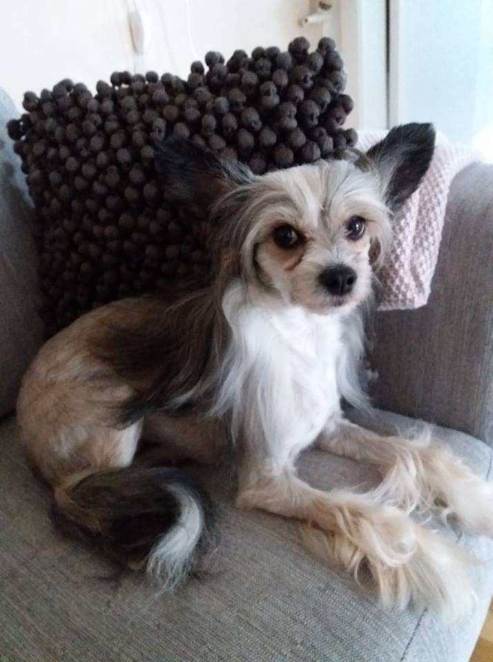 Practical Hero Promise Me Love