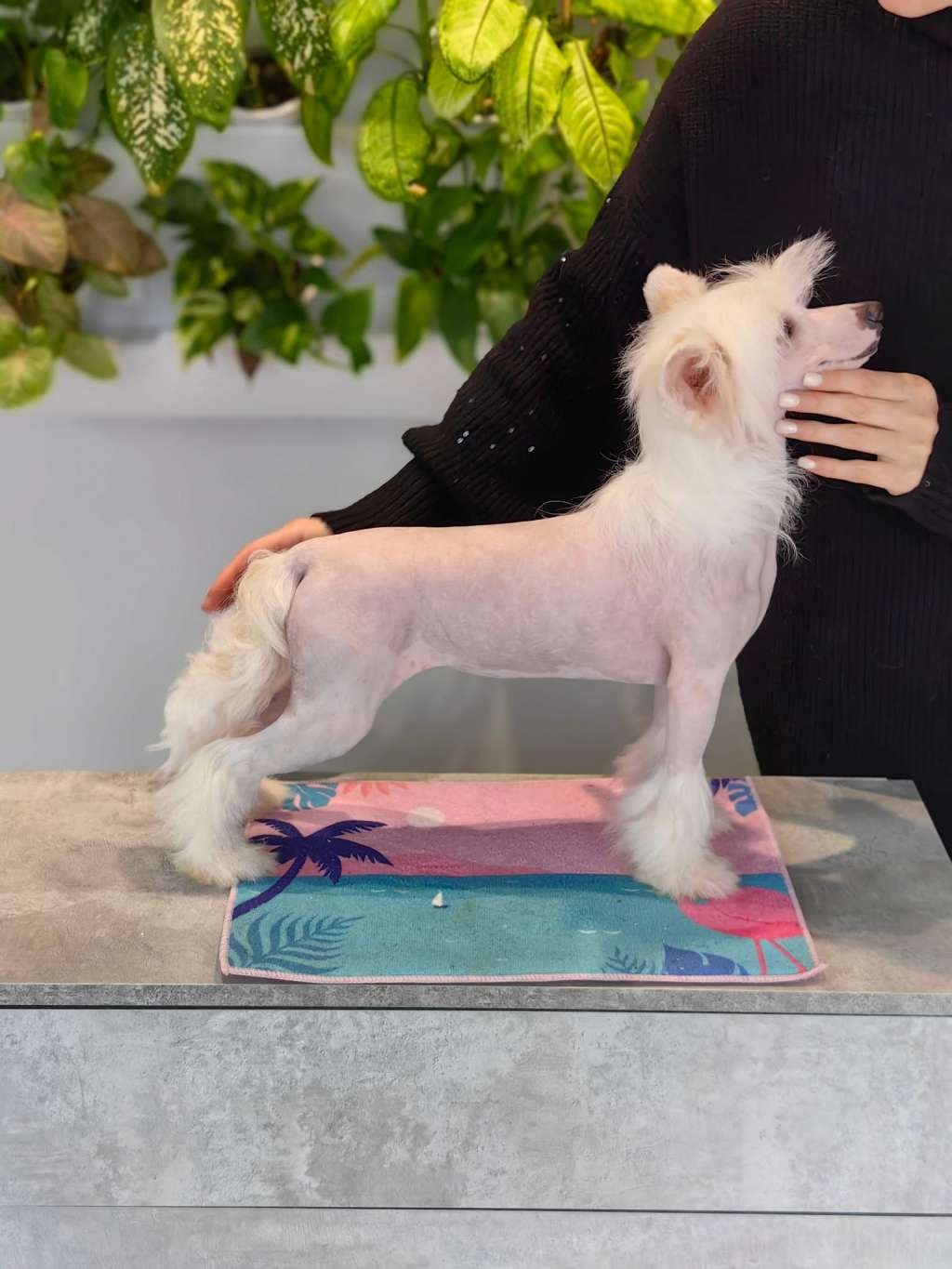 Yamaha winning smile