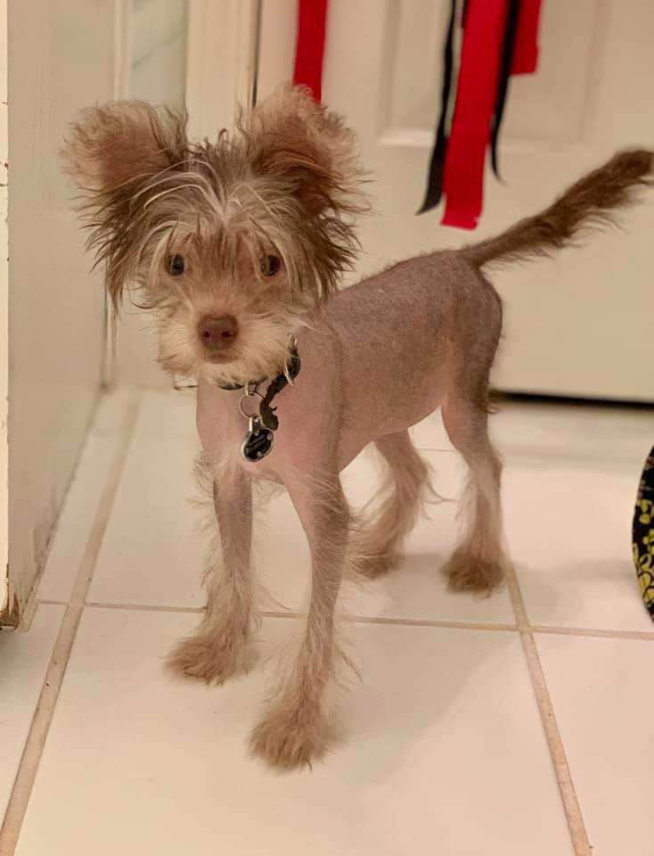 deBahTrio What Ive Done