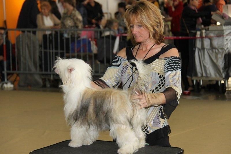 Feuervale's Stereo Love