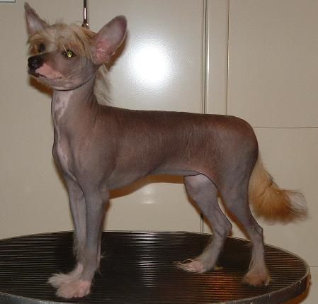 Qu-Ya-Va's Glory Morning Sun