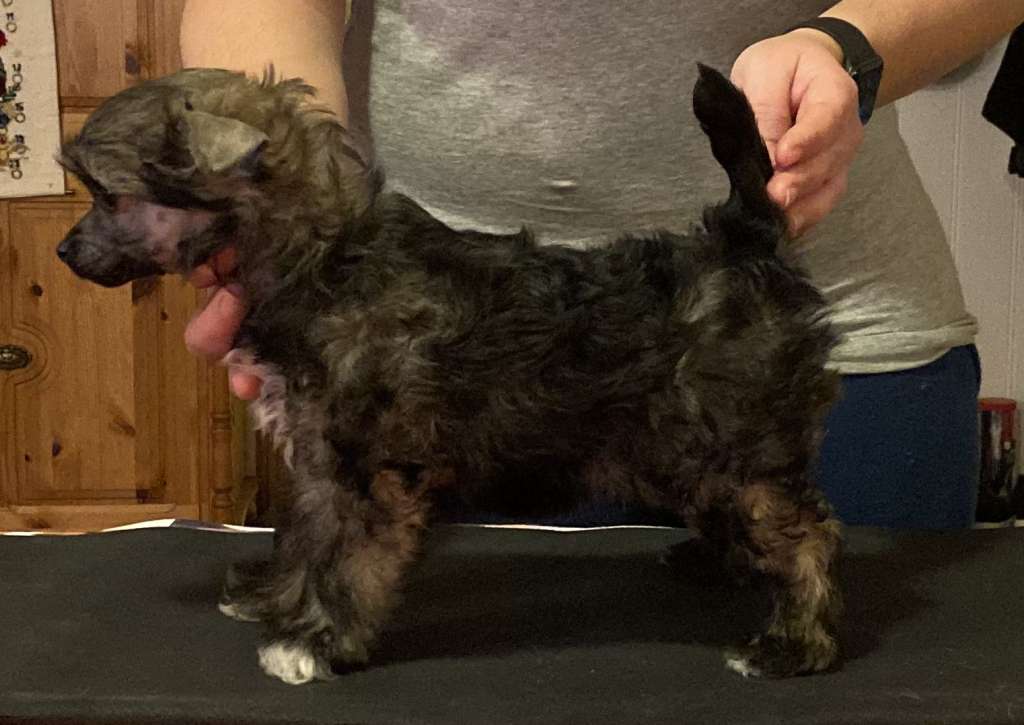 Absolute Souls Secret Miracle