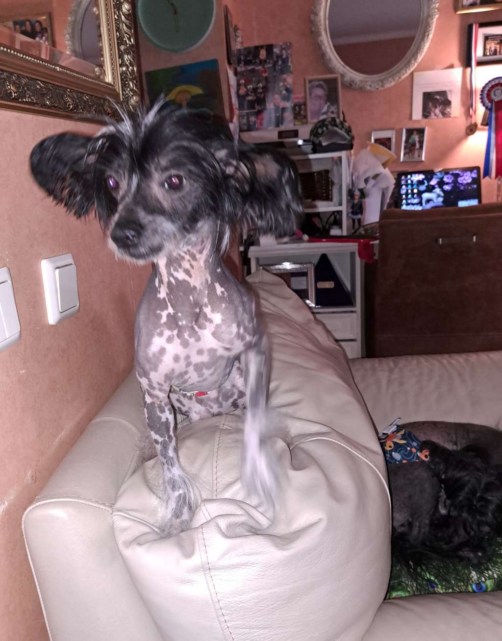 Guilty Pleasure of ria's pride