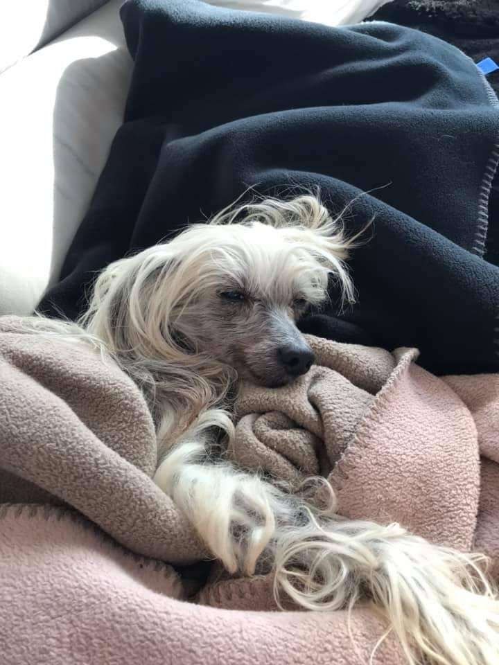 Quality to Win von Shinbashi