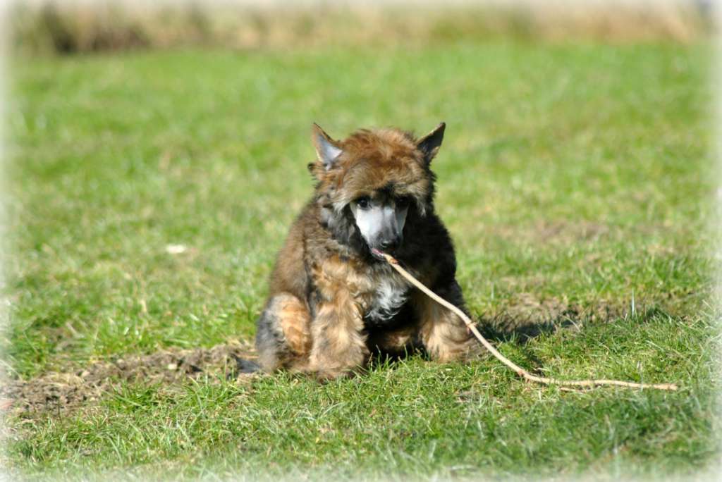 Kalimera's The Devil wears Prada