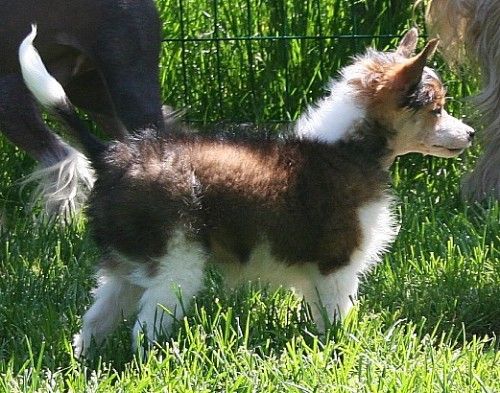 Reject's Eigth O'clock Sharp