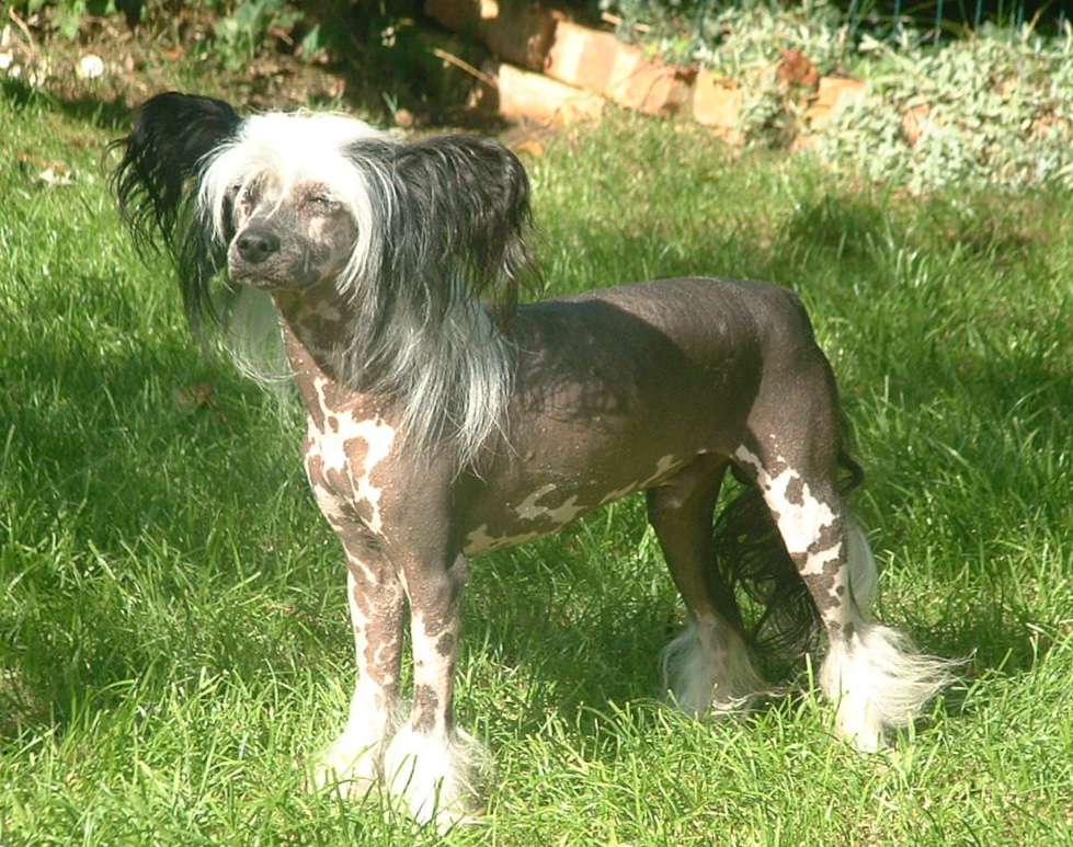 Liddyleaze Gothic Storm over Jhanchi