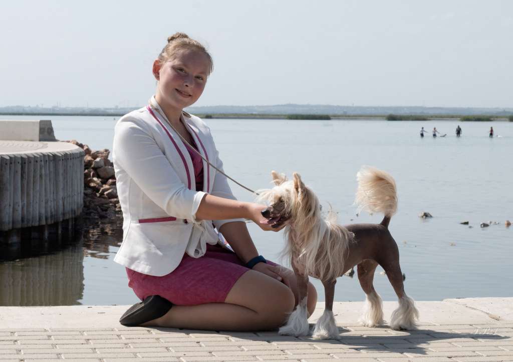 SevenDrops Cool and Easy