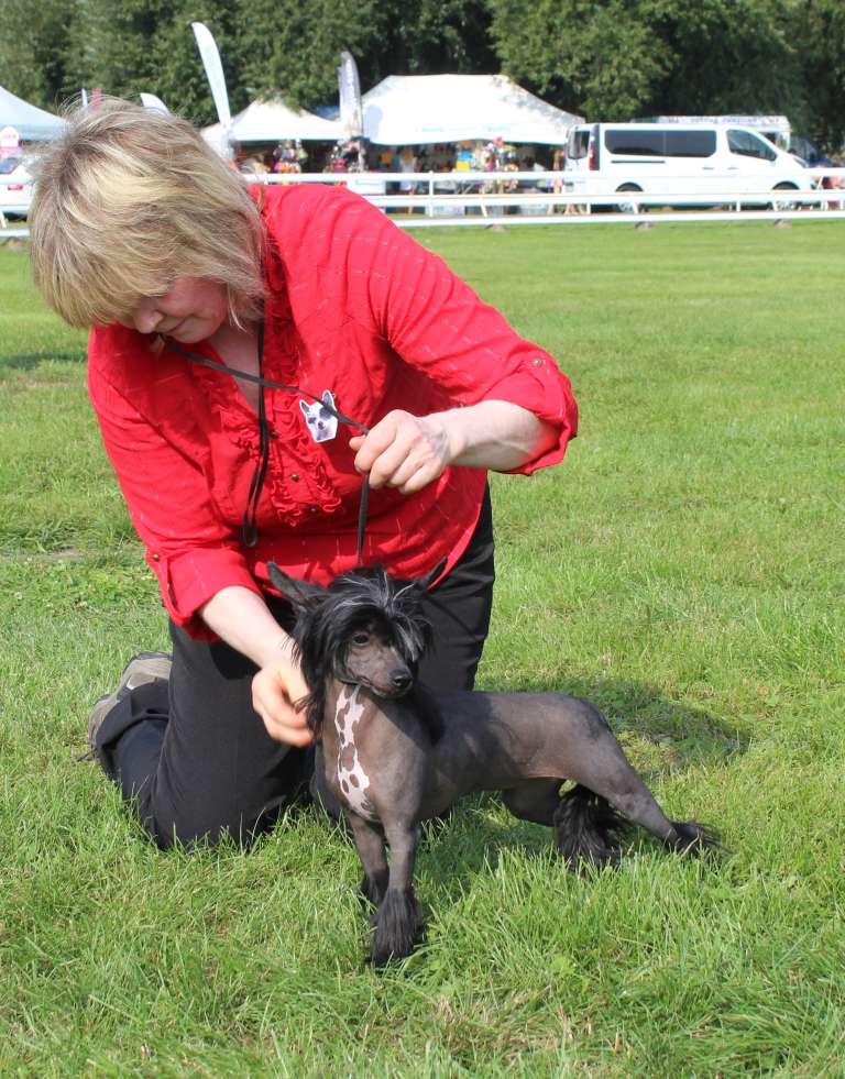Sherry Lady Winning Smile