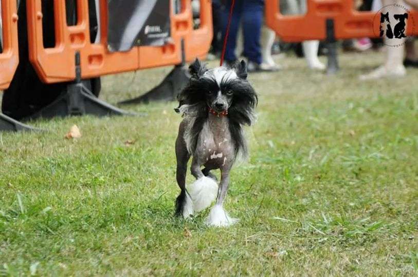 Briana Winning Smile