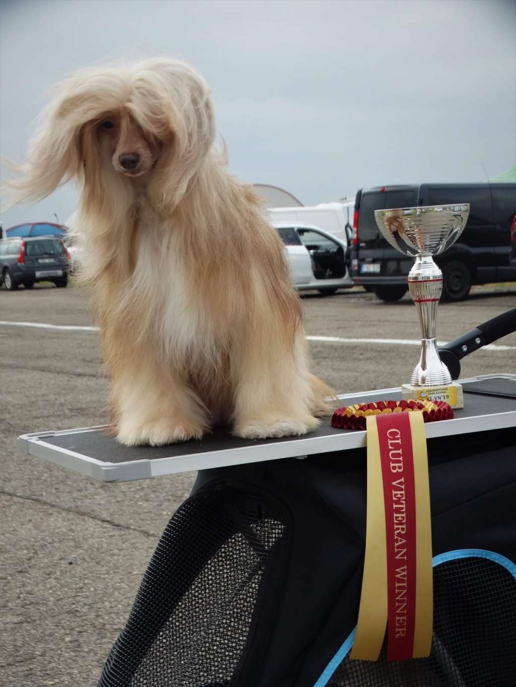 Apple Blossom Imperija