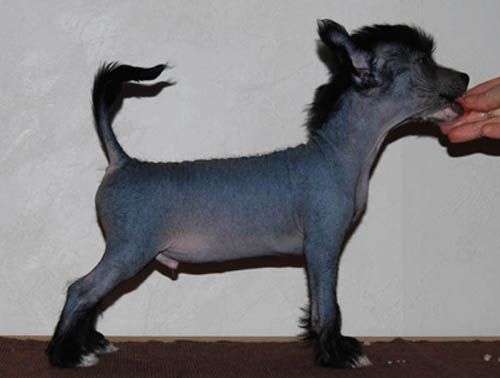 Chineseblue's Keep Me Forever