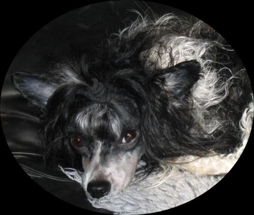 Sun-Hee's Queen Medusa