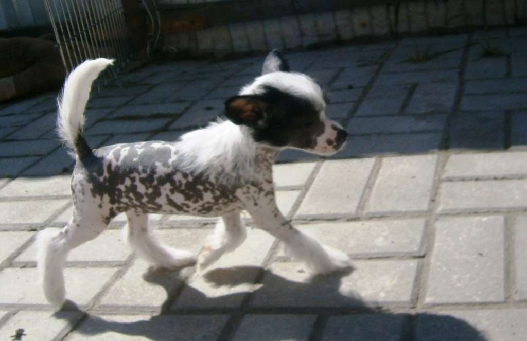 Lina'S Beauty Solo Mia