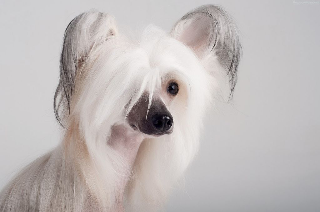 Olegro Katrin Izyuminka