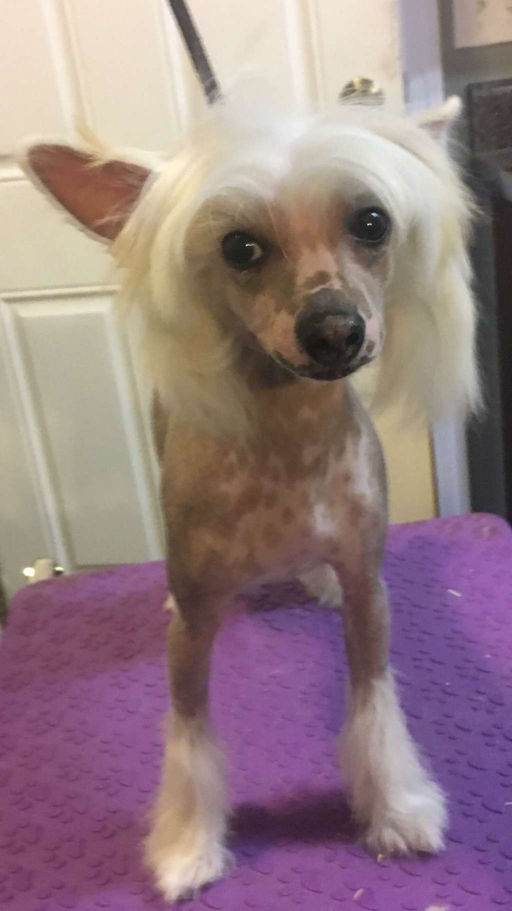 Cosmic's What Happens In Vegas