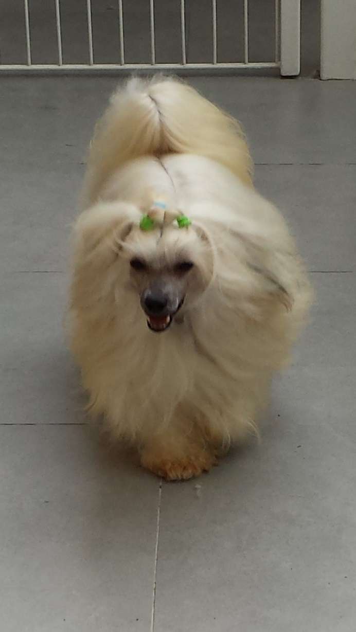 Epsylon des Picholines