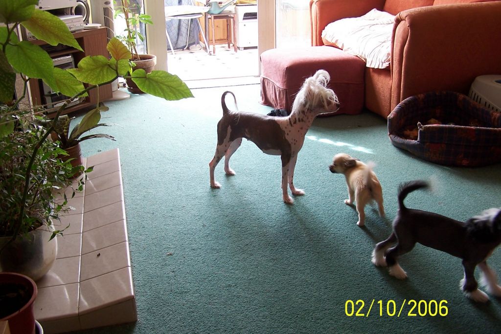 Juddona Sweet Caroline at Prajna