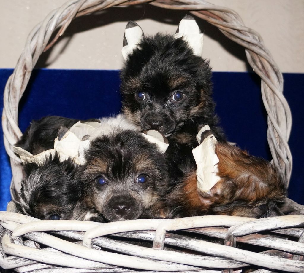 Marvi's-Stile Nad Burton