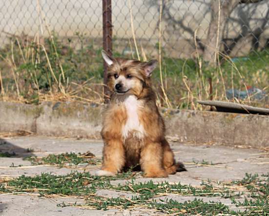 Meryem Molosos Gratzi