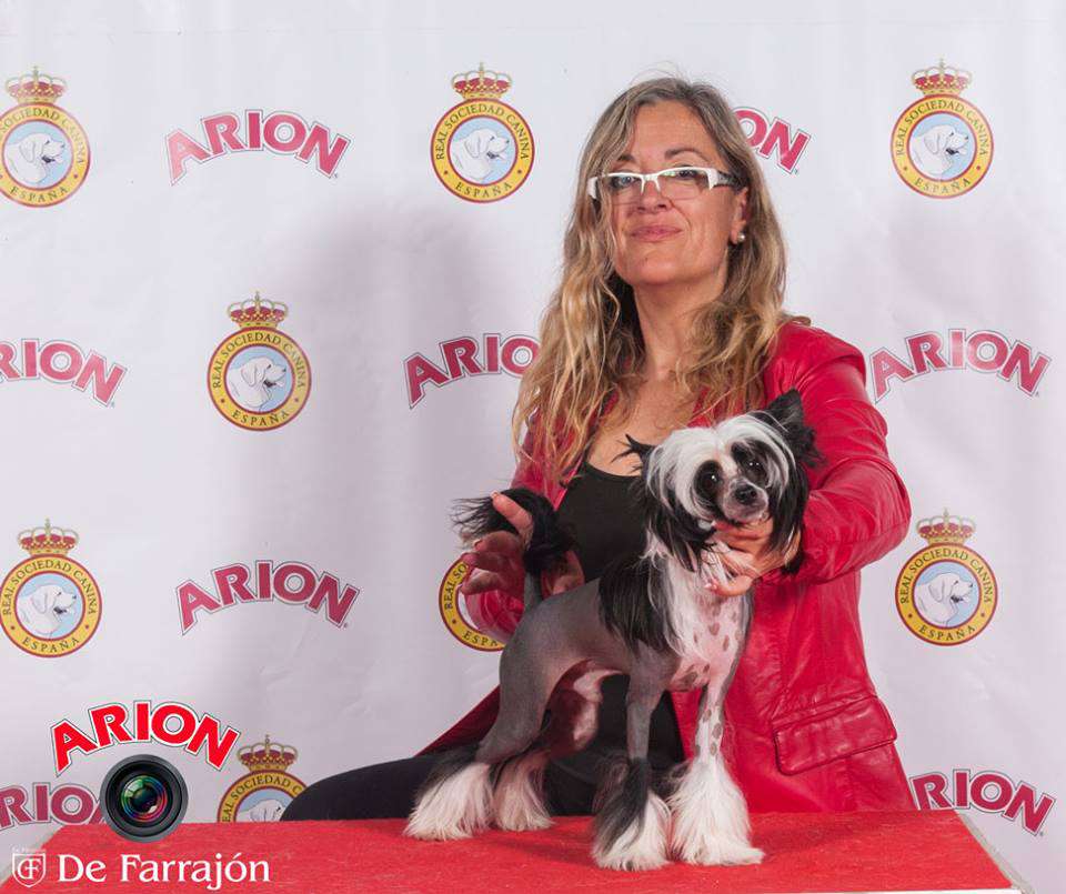 Iakarandas Equilicuá