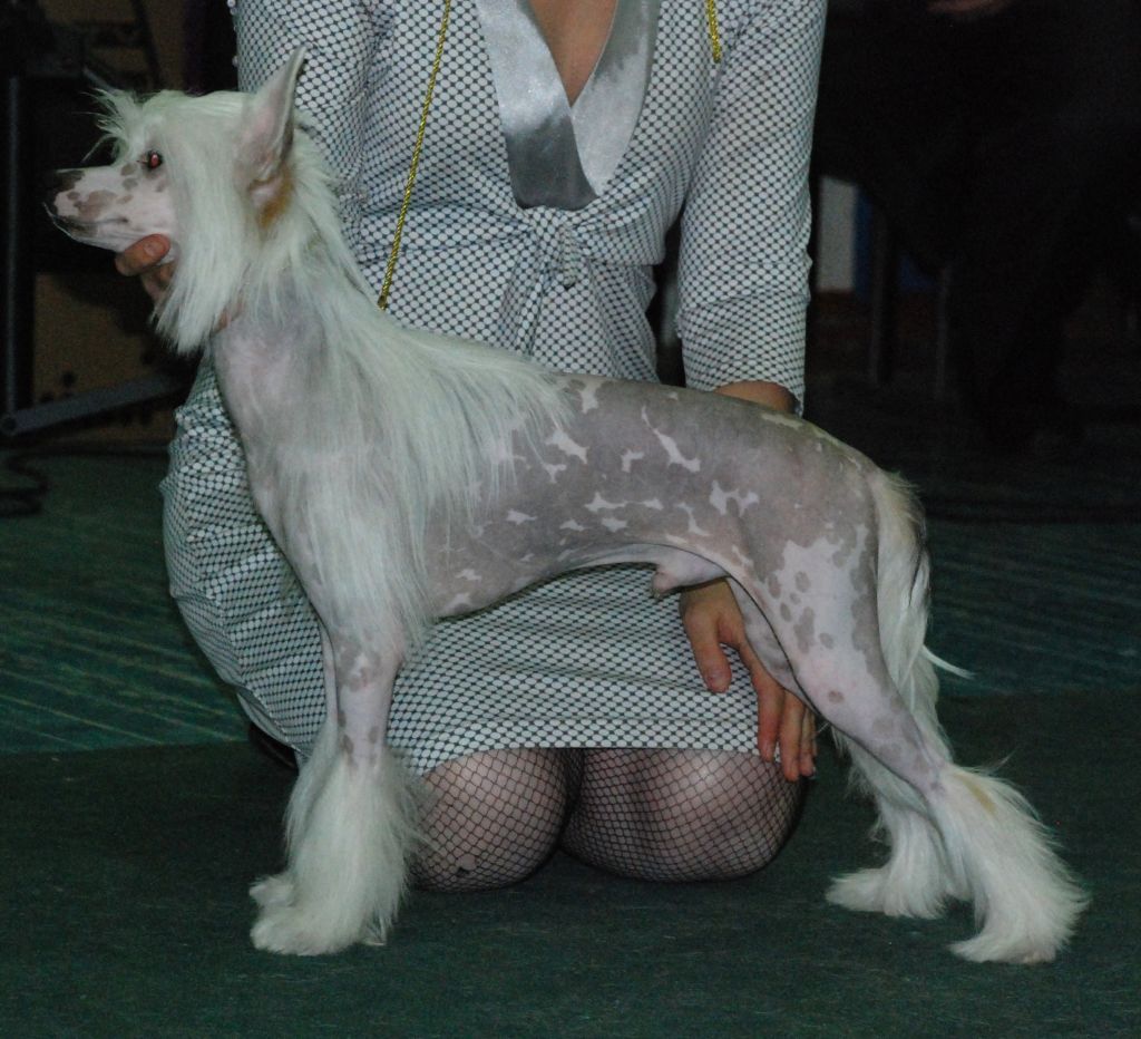 Olegro Katrin At Any Price