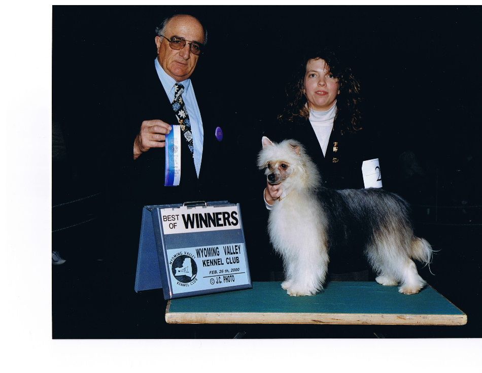 Te'ana's B And C Golden Gloves