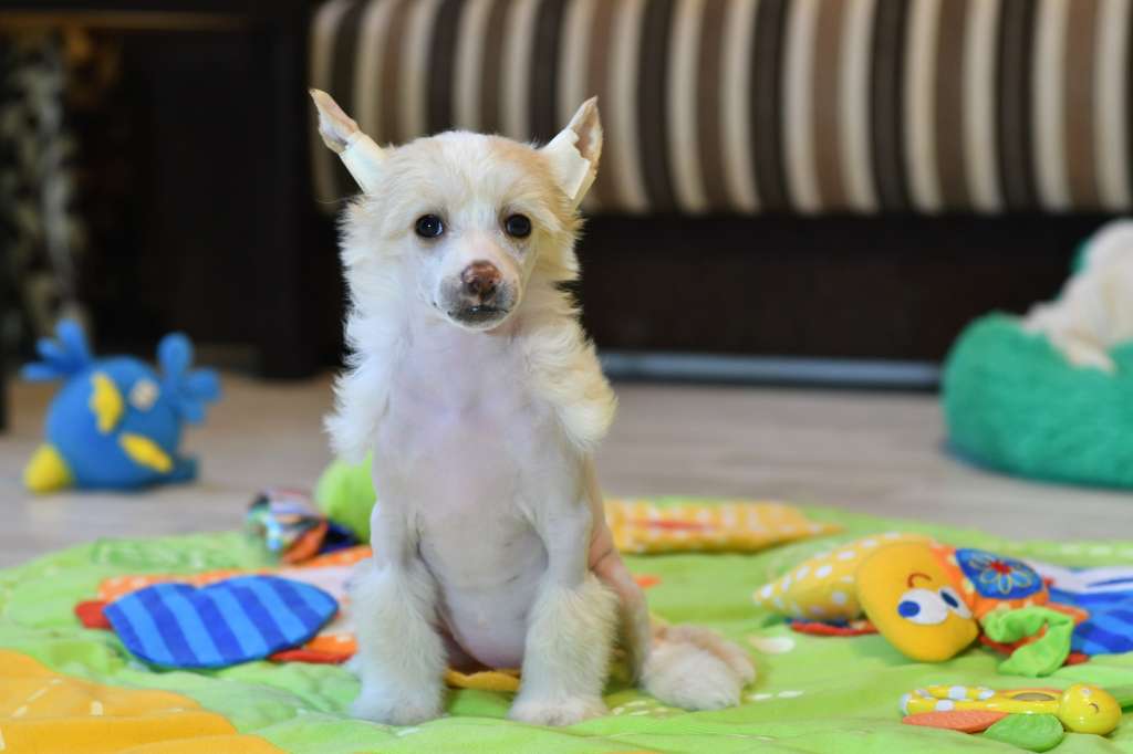 Infanta Winning Smile