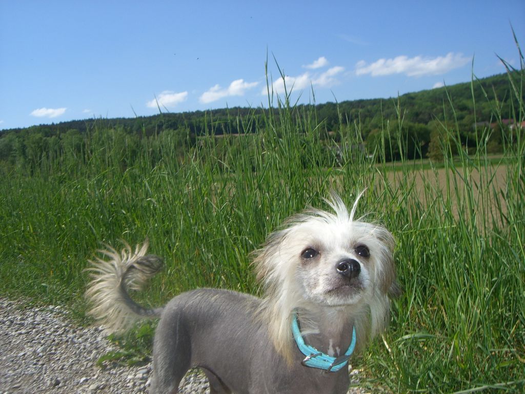 Ready For Bubblegum de GabriTho