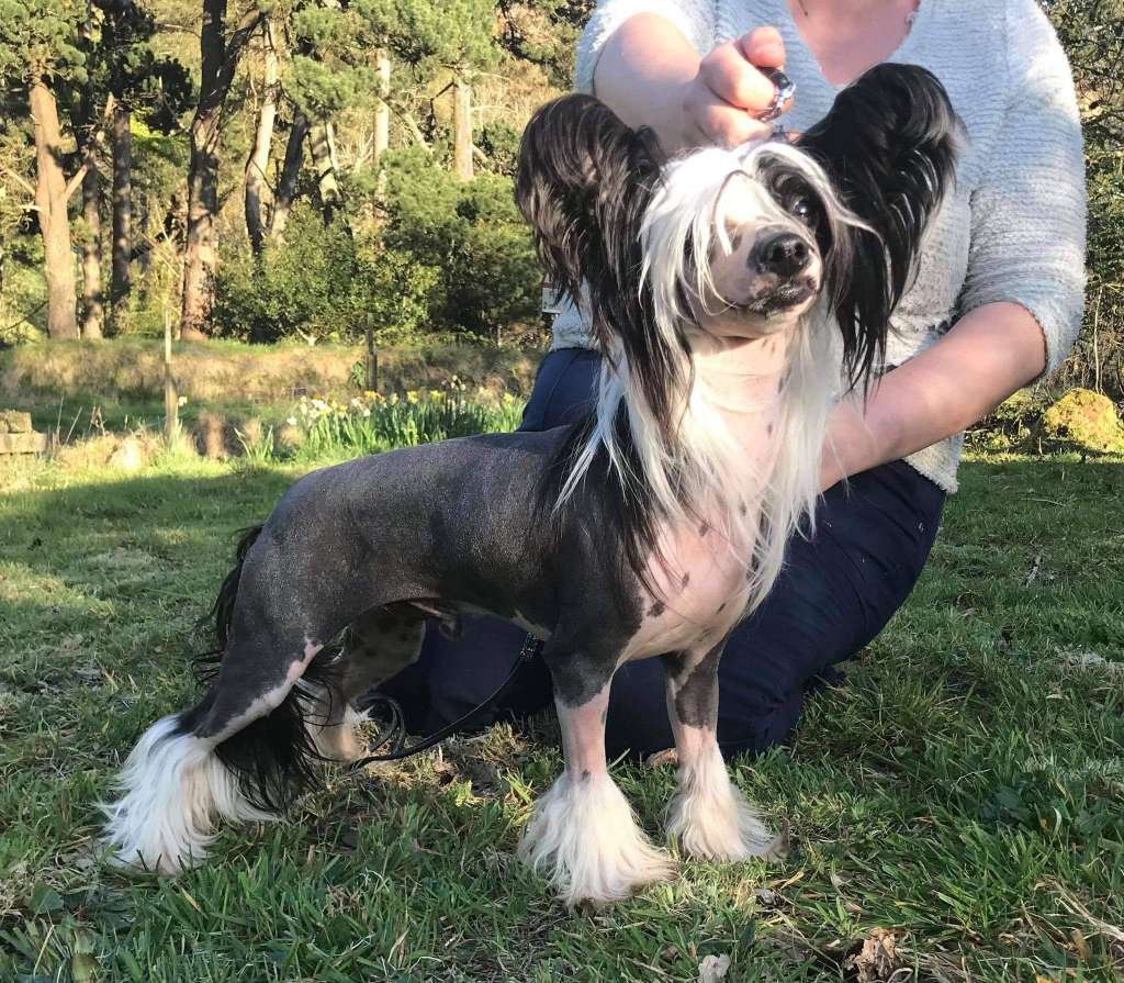 Jean Dark Until Next Time Ynchreenoo