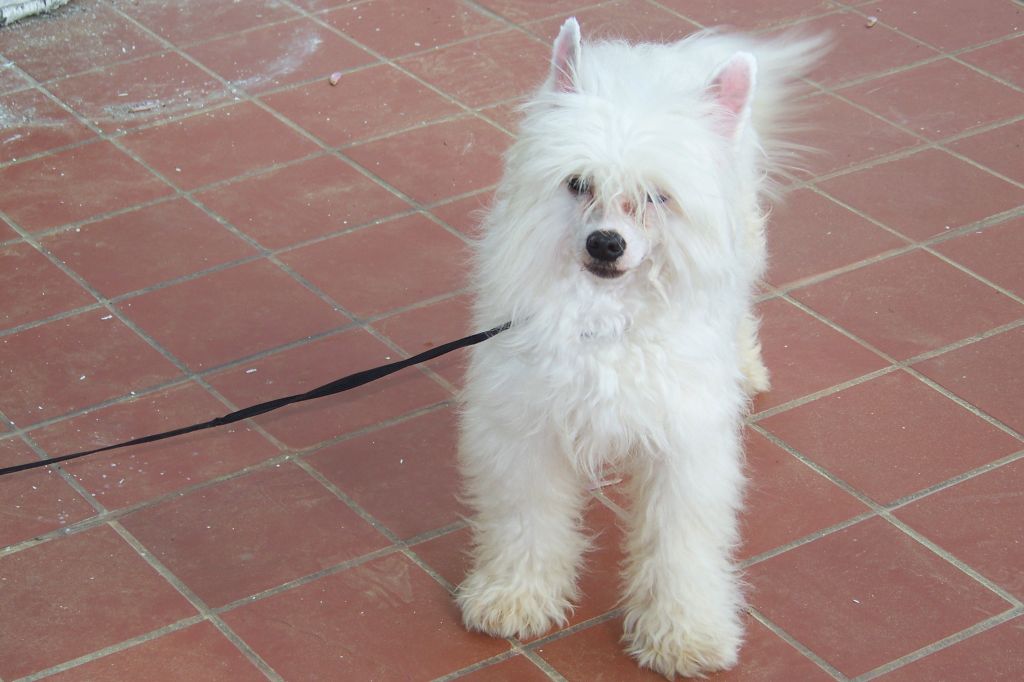 Shambhala's Wind & Sails At Lakeside