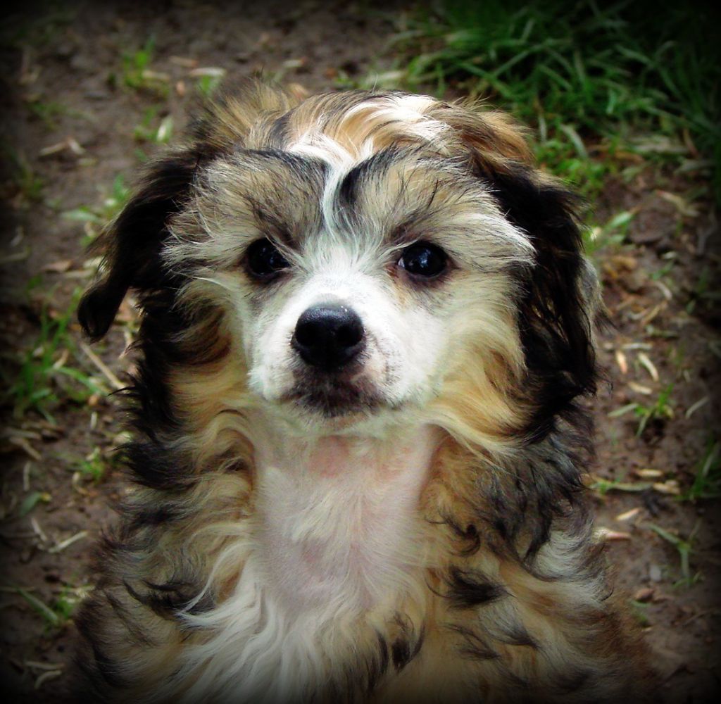 Seafoam's All Gulls No Buoys