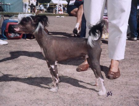 Pretty Hairless Alibaba