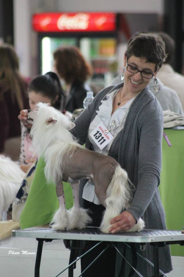 What Could Be Better To Dakota