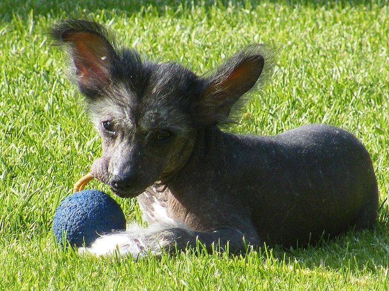 Artistic Assistant z Barrandova