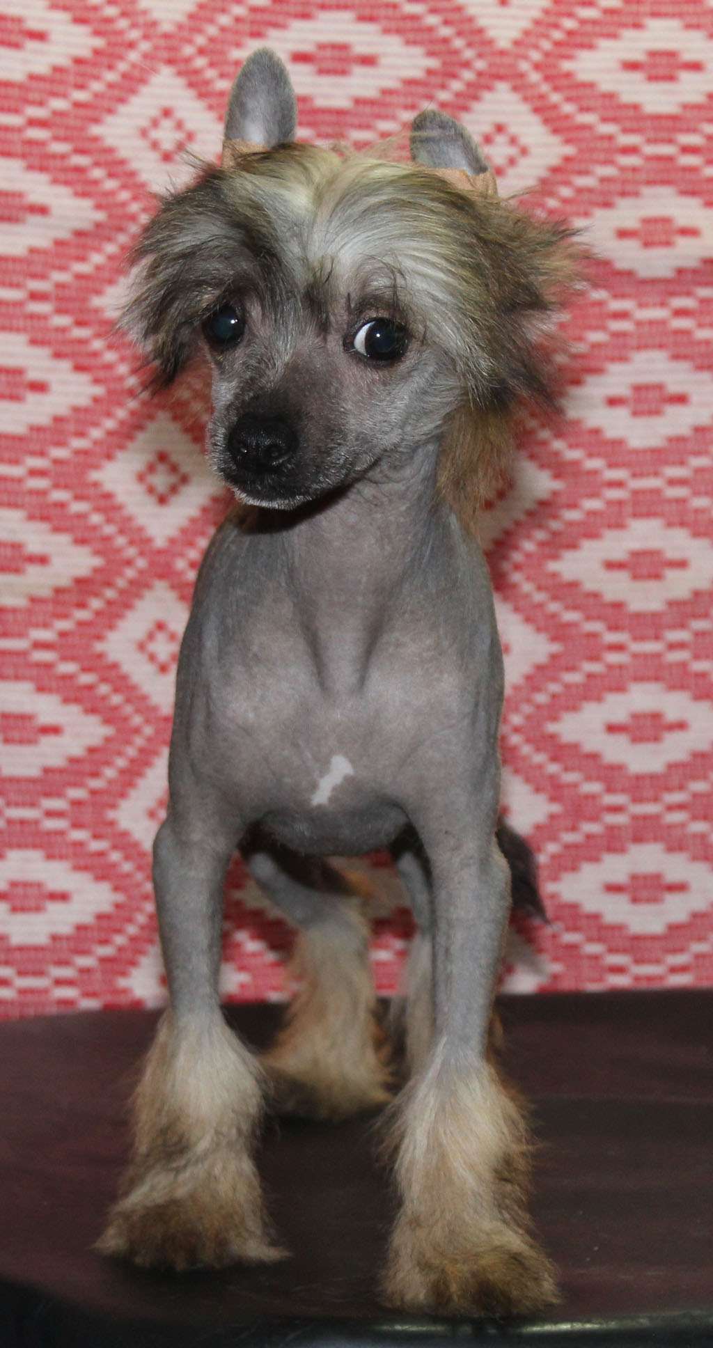 Keeper of time de Almamasan