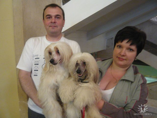 Irgen Gold Evlampija