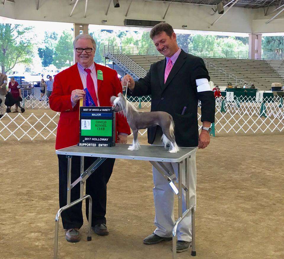 Sol'tanto Dancing Queen