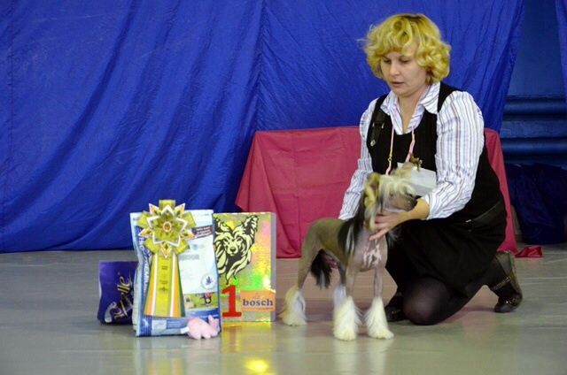 Ins Lucky Star Harisma