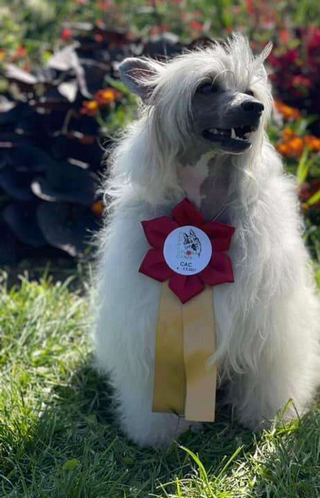 Bellow Sweet Dream River