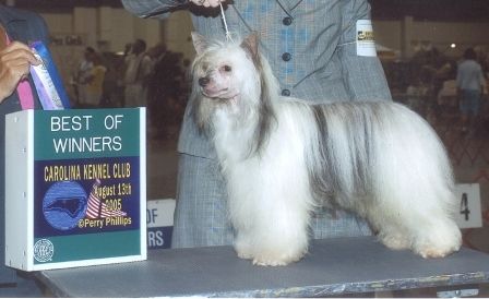 Kalan's Some Kinda Trouble